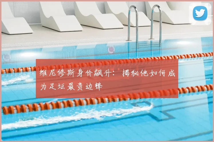 维尼修斯身价飙升:揭秘他如何成为足坛最贵边锋