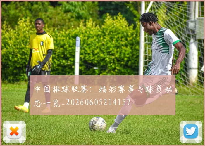 中国排球联赛:精彩赛事与球员动态一览_20260605214157